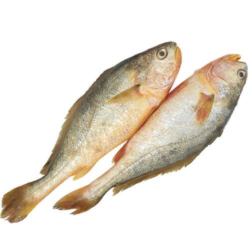 Bilancia di controllo che verifica le confezioni di pesce surgelato prima dell'inscatolamento